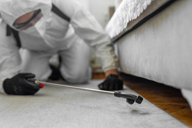Professional Cockroach Control technician working in Viola, IL