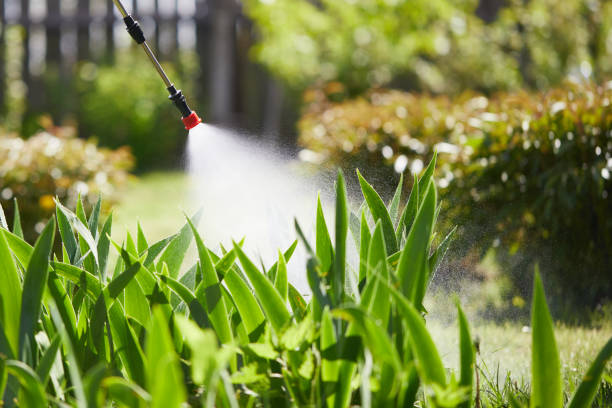 24/7 Emergency Cockroach Control experts in Viola, IL